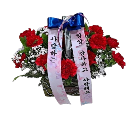 카네이션 바구니-레드
